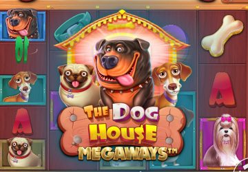 Игра The Dog House Megaways в казино Сукааа